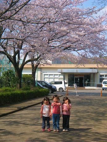 13桜の木の下で.jpg
